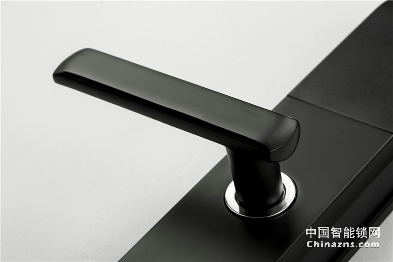 安朗指紋鎖E1060APP指紋密碼鎖 家用防盜門鎖