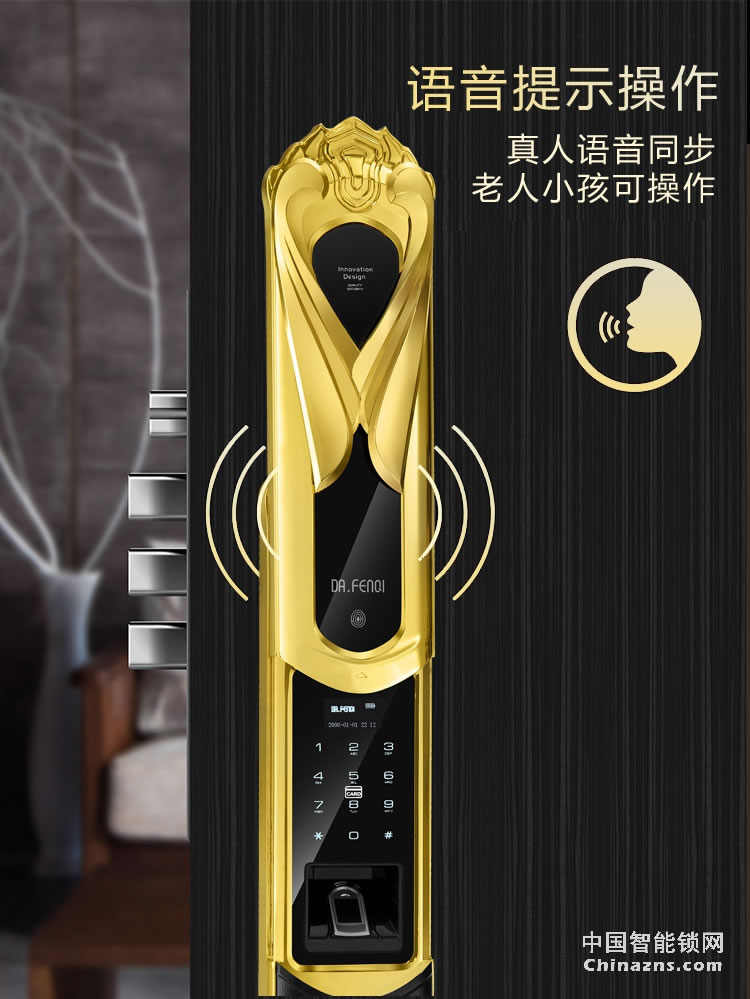 達文西別墅指紋鎖 家用防盜門鎖 大門智能鎖 