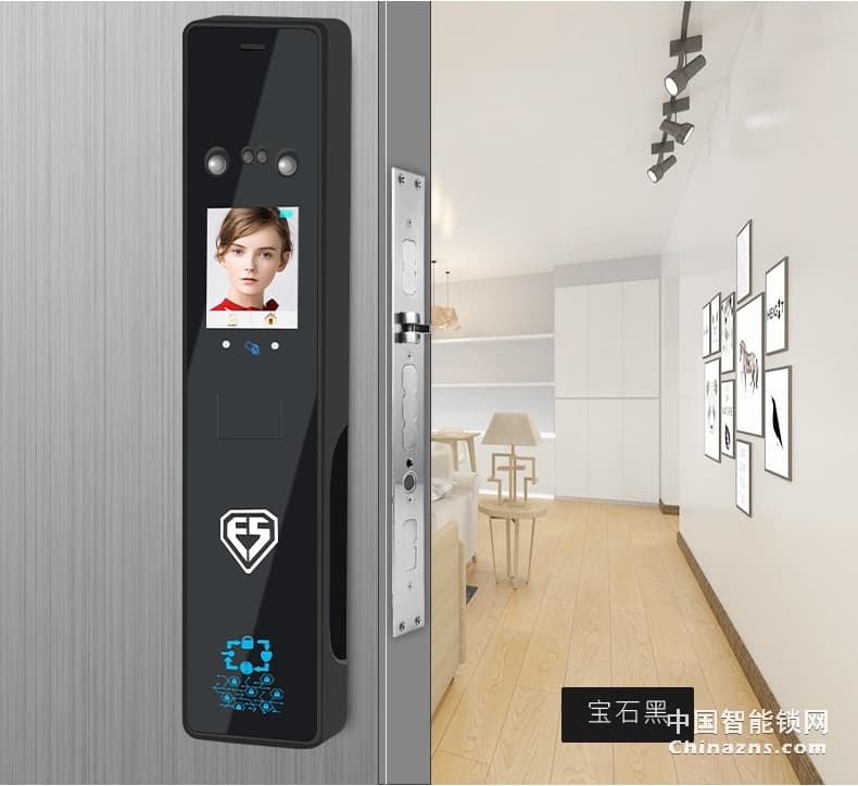 因碩人臉識別鎖 全自動指紋鎖 刷臉智能門鎖