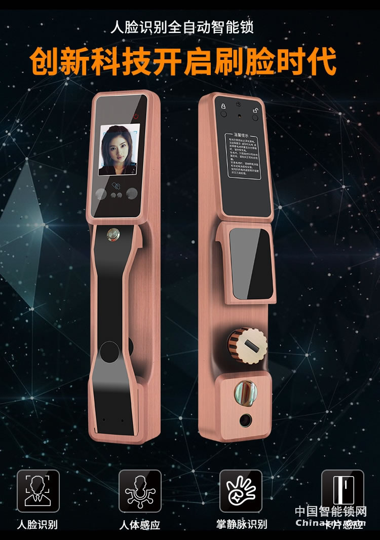 金玉鑫人臉全自動智能鎖 防特斯拉線圈門鎖