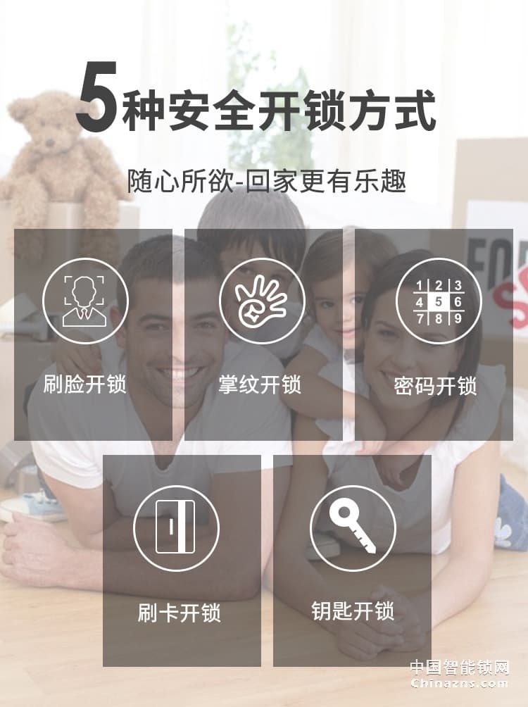 金玉鑫人臉全自動智能鎖 防特斯拉線圈門鎖