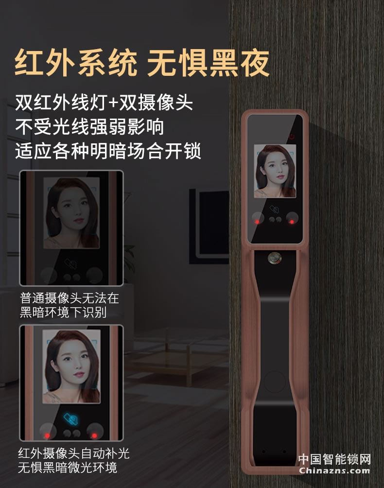 金玉鑫人臉全自動智能鎖 防特斯拉線圈門鎖