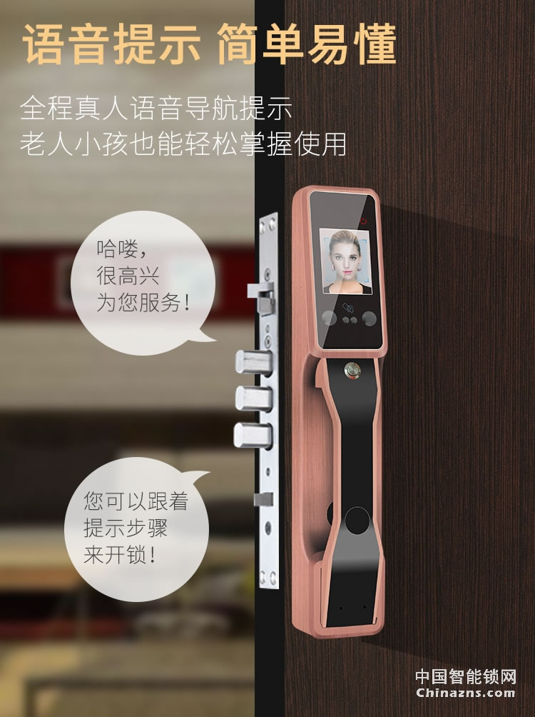 金玉鑫人臉全自動智能鎖 防特斯拉線圈門鎖