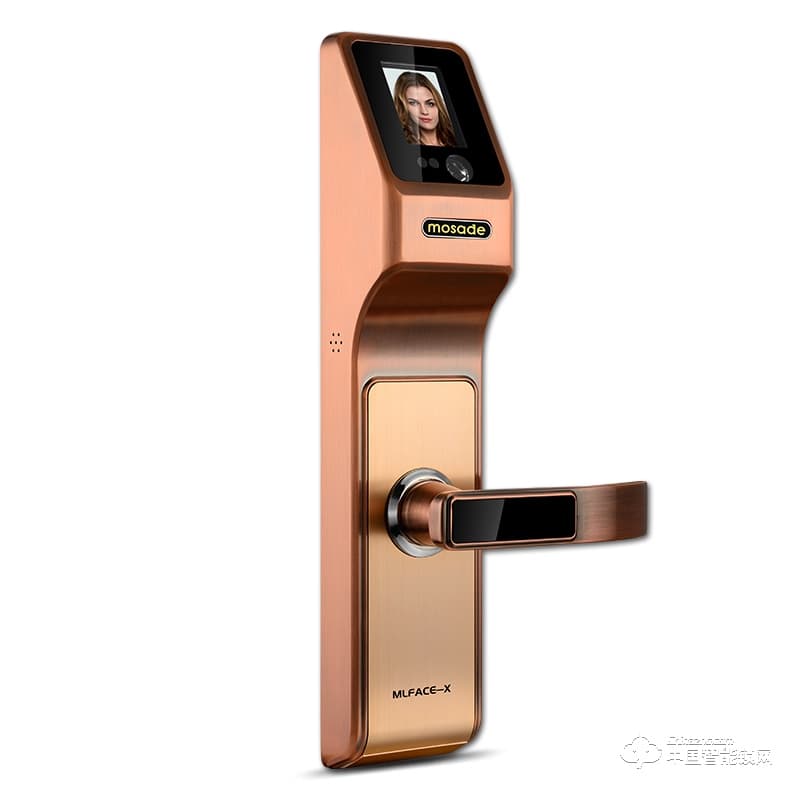 摩薩迪智能鎖 MLFACE-X臉識別鎖家用防盜門鎖