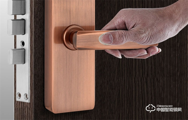 虹時(shí)代i1眼睛虹膜識(shí)別人臉智能鎖 密碼指紋鎖