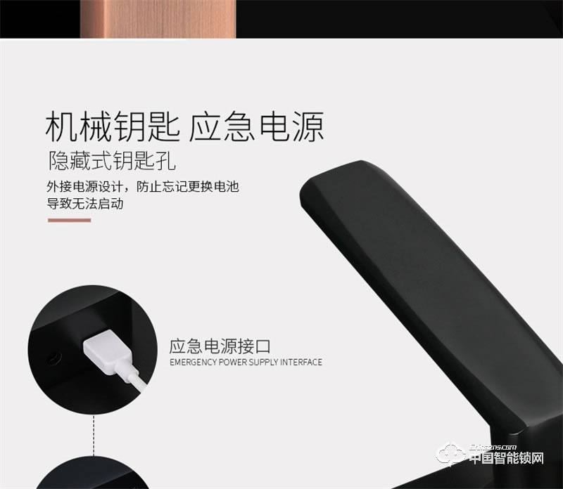 虹時(shí)代i1眼睛虹膜識(shí)別人臉智能鎖 密碼指紋鎖