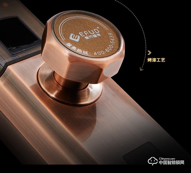 愛(ài)而福德指紋鎖 8038家用防盜門(mén)鎖智能電子鎖