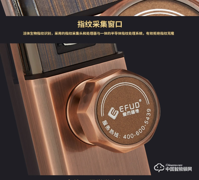愛(ài)而福德指紋鎖 8038家用防盜門(mén)鎖智能電子鎖