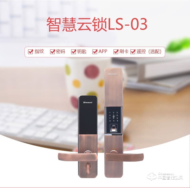 迪曼斯智能鎖 智能家居家用防盜門密碼磁卡鎖LS-03