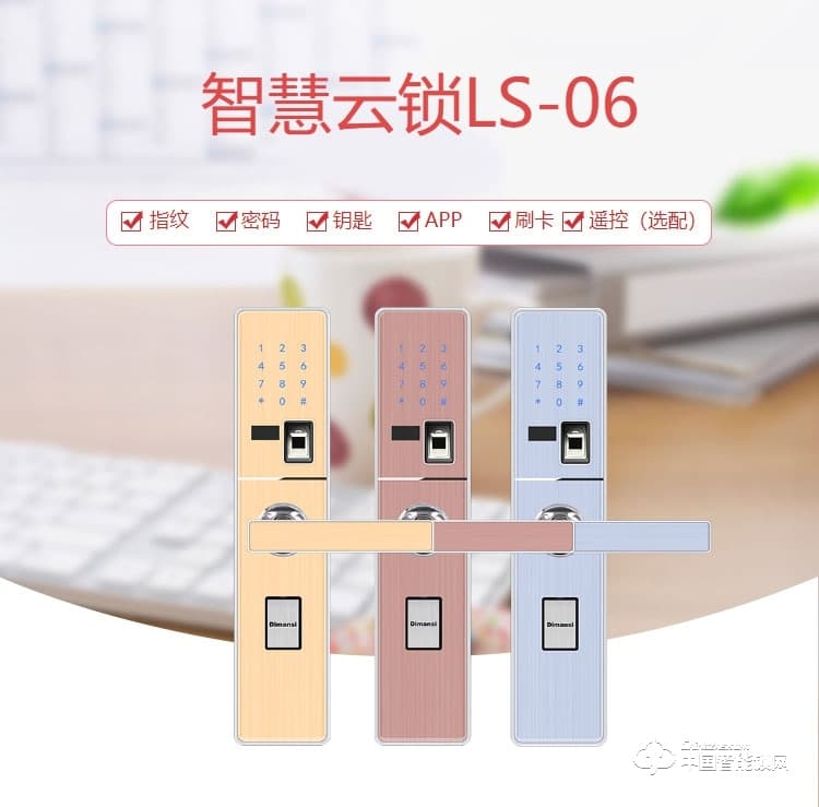 迪曼斯智能鎖 智能家居家用防盜門密碼磁卡鎖 智能電子鎖LS-06