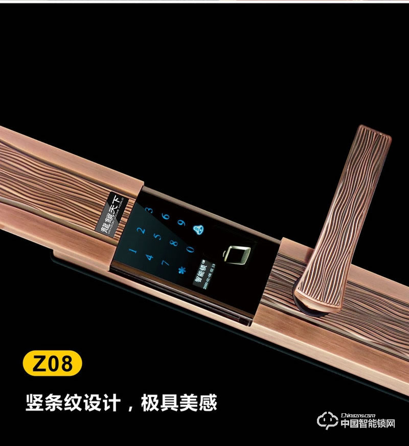 龍鎖天下智能鎖 滑蓋指紋密碼鎖 防盜門智能鎖Z08