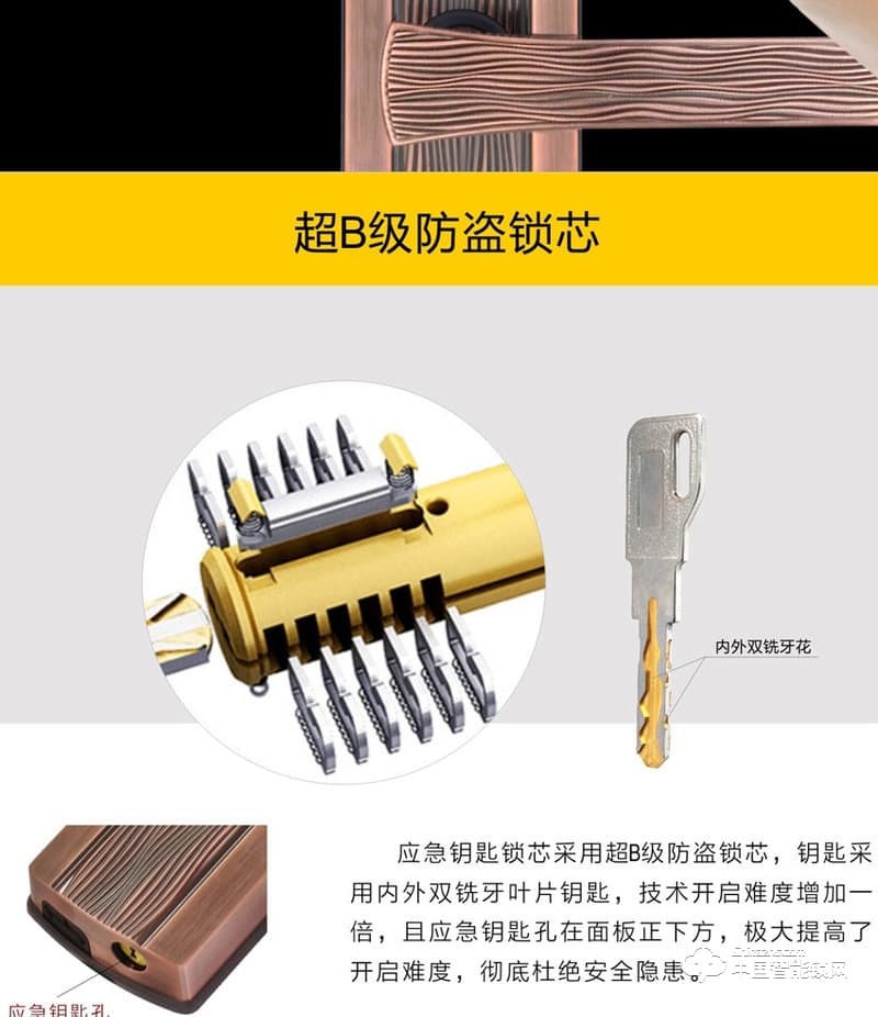 龍鎖天下智能鎖 滑蓋指紋密碼鎖 防盜門智能鎖Z08