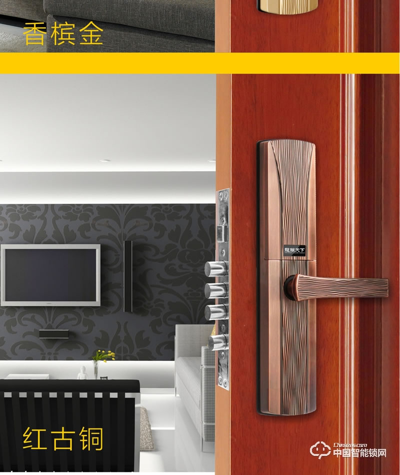 龍鎖天下智能鎖 滑蓋指紋密碼鎖 防盜門智能鎖Z08