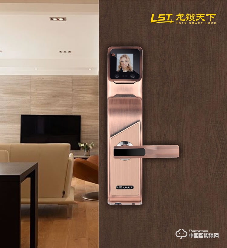 龍鎖天下智能鎖 人臉識別智能鎖 防盜門智能鎖Q7