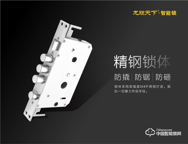 龍鎖天下智能鎖 指紋密碼鎖 防盜門鎖 電子刷卡鎖Z09