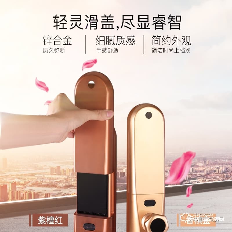 金點原子指紋鎖 指紋鎖玻璃門鎖感應(yīng)磁卡鎖