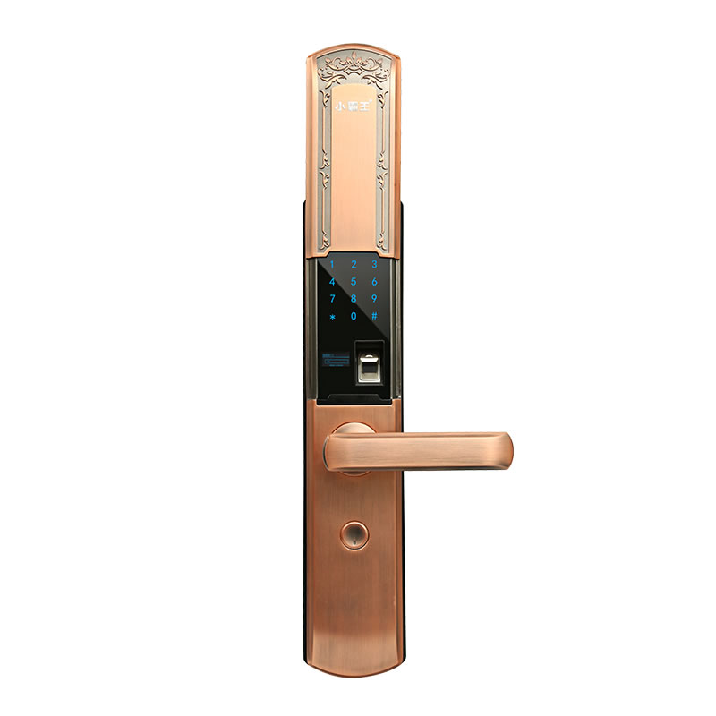 小霸王指紋鎖 滑蓋智能鎖E5 防盜密碼鎖