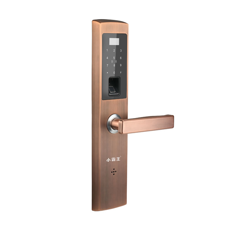 小霸王指紋鎖 防盜指紋鎖E6 密碼鎖指紋鎖