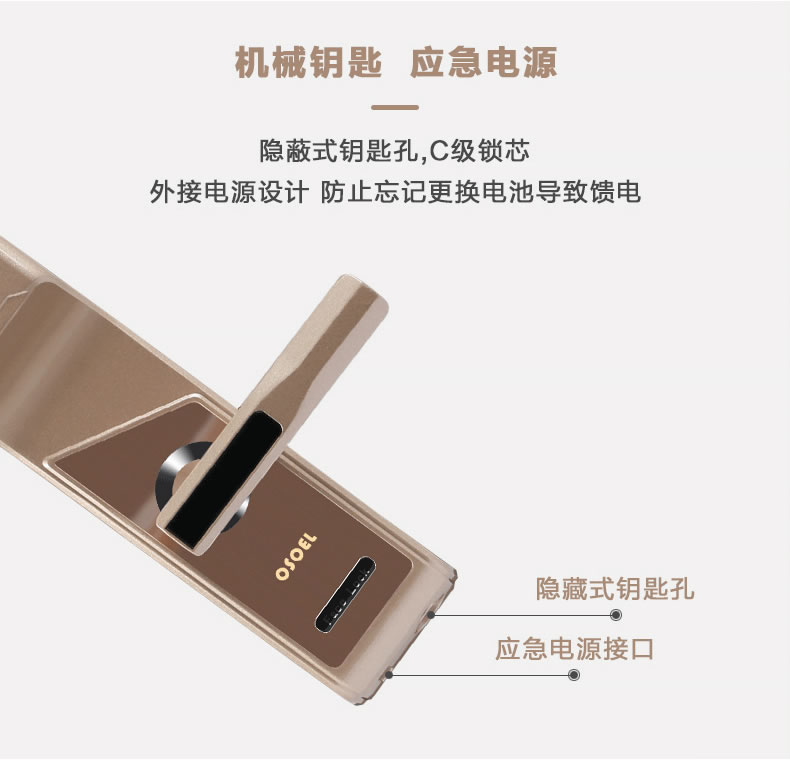 帝豐智能鎖 人臉識別智能鎖 家用電子密碼鎖