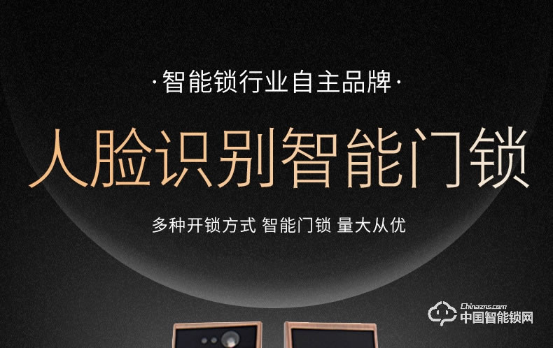 飛黃智能鎖 人臉識別智能門鎖A6指紋密碼鎖