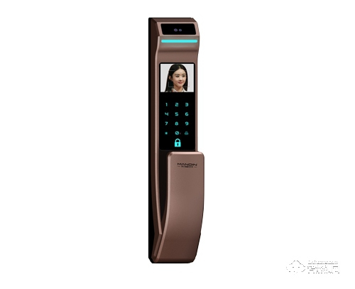 曼迪尼智能鎖 人臉識別智能鎖 防盜電子密碼鎖P20