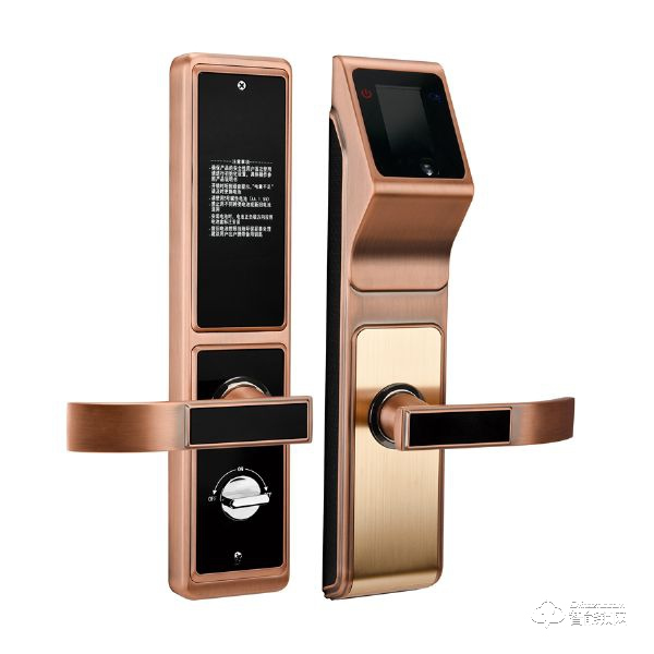 帝門智能鎖 DM-9988紅古銅人臉識(shí)別智能鎖