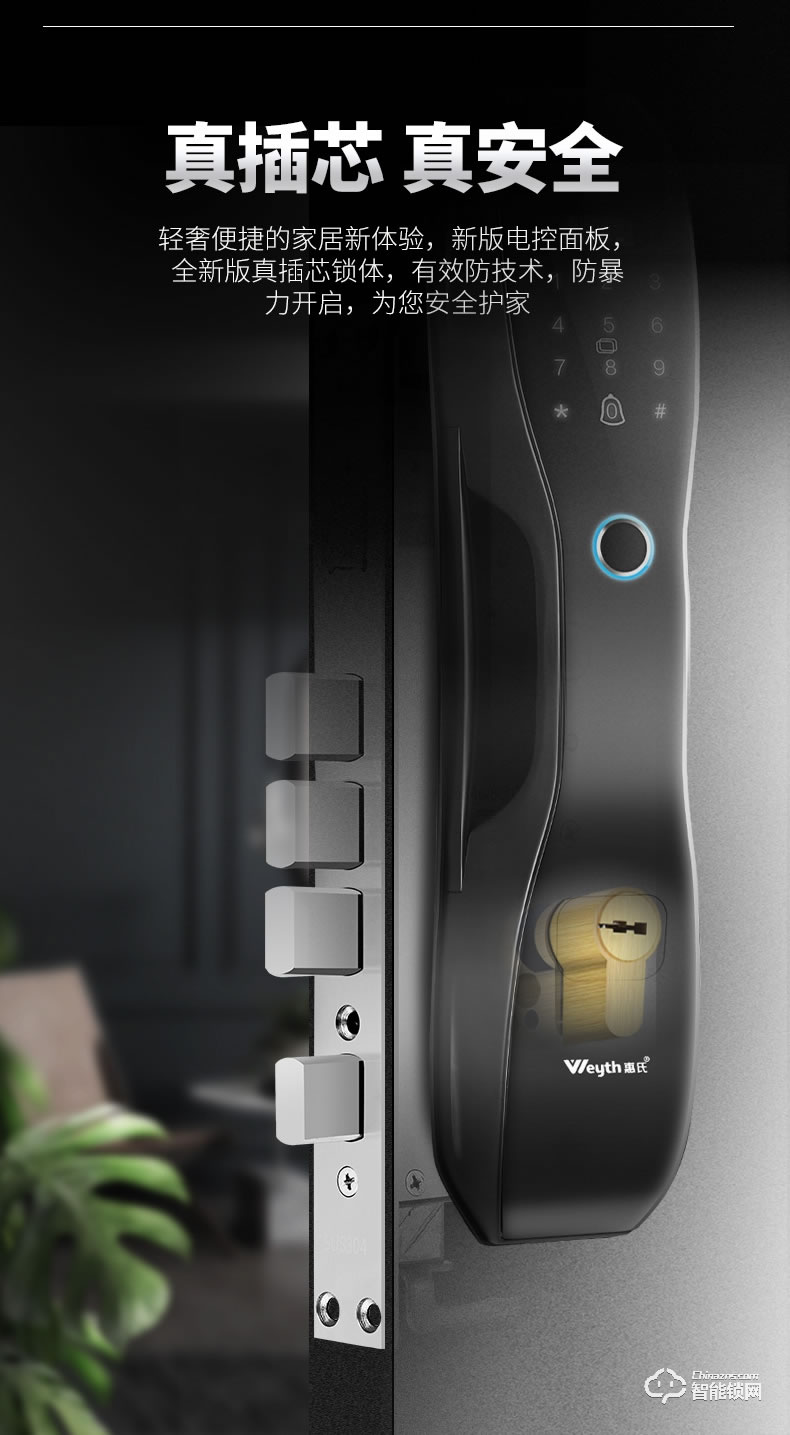 惠氏智能鎖 C5開門遠(yuǎn)程磁卡智能鎖電子密碼鎖