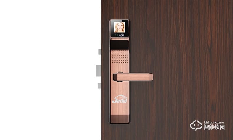 吉斯盾智能鎖 LZ-R100面部識(shí)別掌紋識(shí)別紅外智能鎖