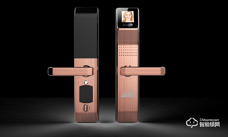 吉斯盾智能鎖 LZ-R100面部識(shí)別掌紋識(shí)別紅外智能鎖
