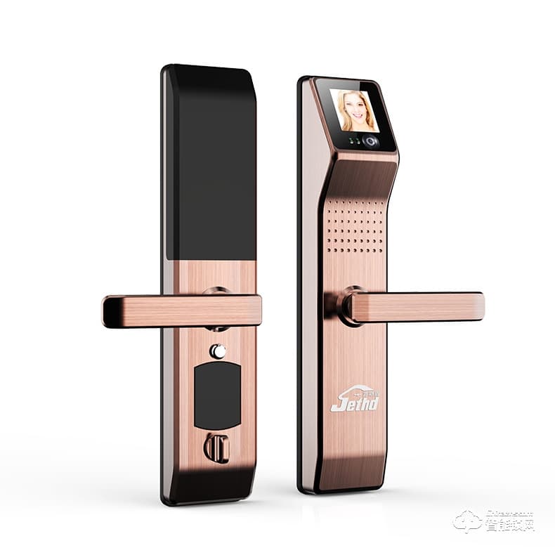 吉斯盾智能鎖 LZ-R100面部識(shí)別掌紋識(shí)別紅外智能鎖