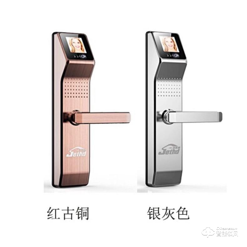 吉斯盾智能鎖 LZ-R100面部識(shí)別掌紋識(shí)別紅外智能鎖