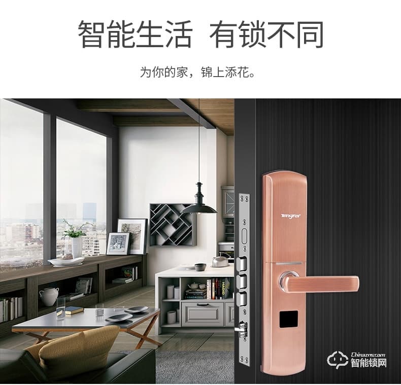 騰飛指紋鎖 家用推拉式防盜門鎖智能門鎖滑蓋鎖