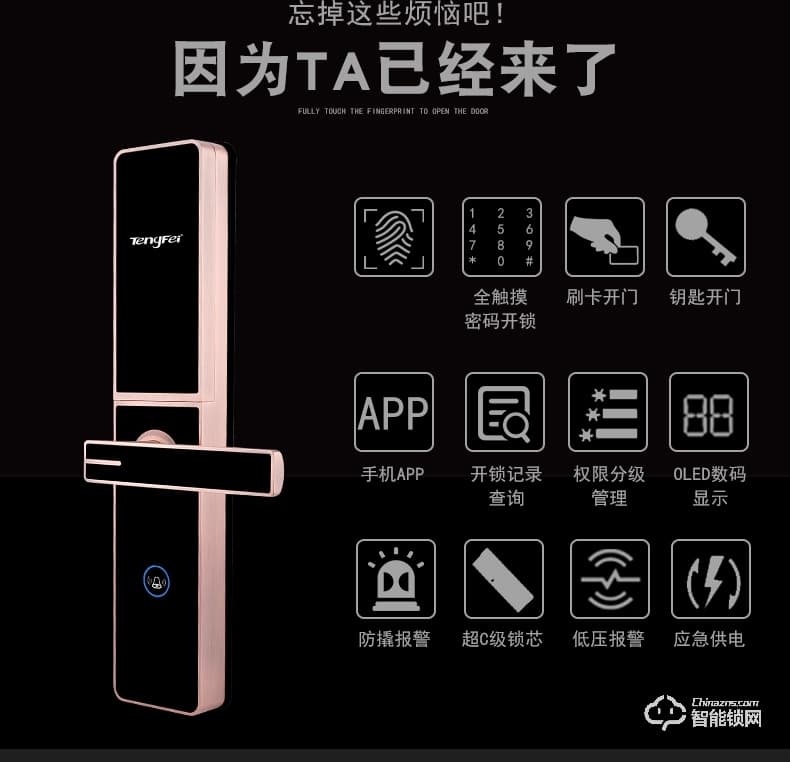 騰飛指紋鎖 家用辦公室內(nèi)臥室房門大門電子防盜門鎖