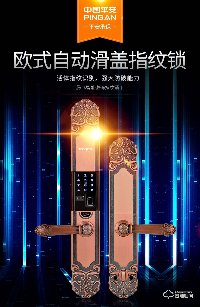 騰飛指紋鎖 歐式防盜門鎖智能密碼鎖
