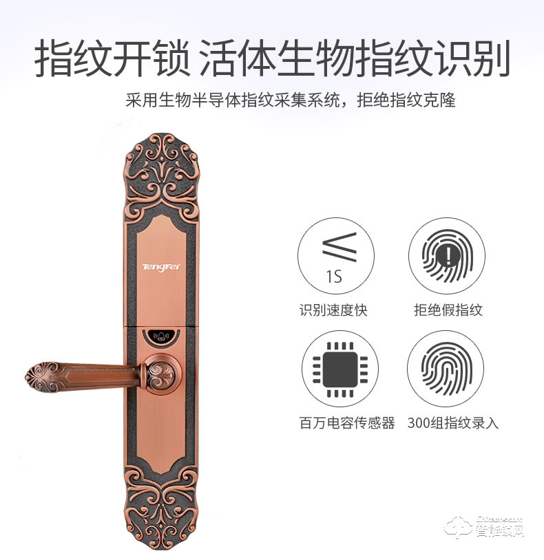 騰飛指紋鎖 歐式防盜門鎖智能密碼鎖