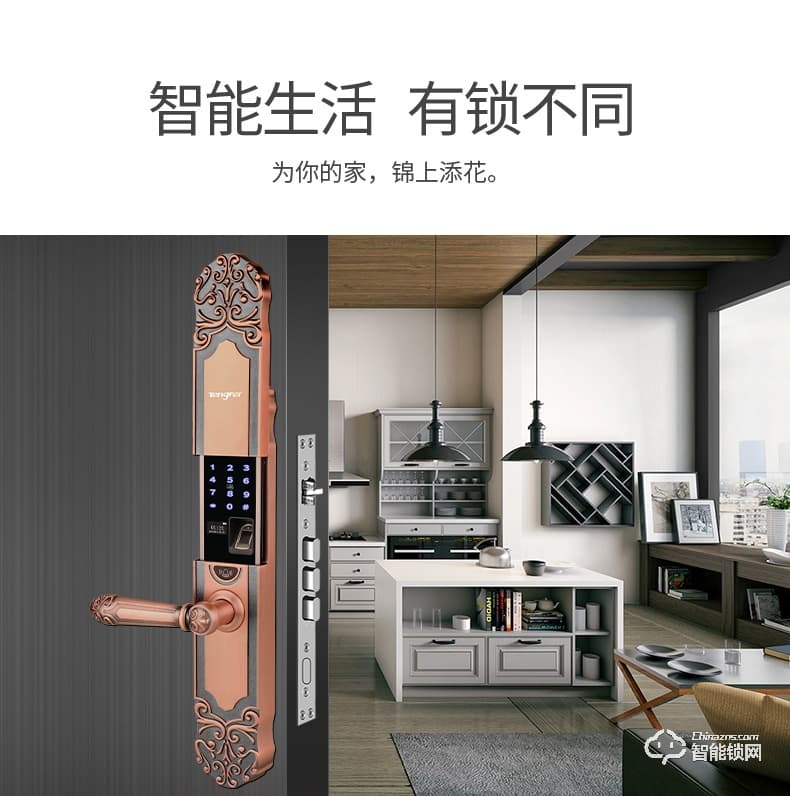騰飛指紋鎖 歐式防盜門鎖智能密碼鎖