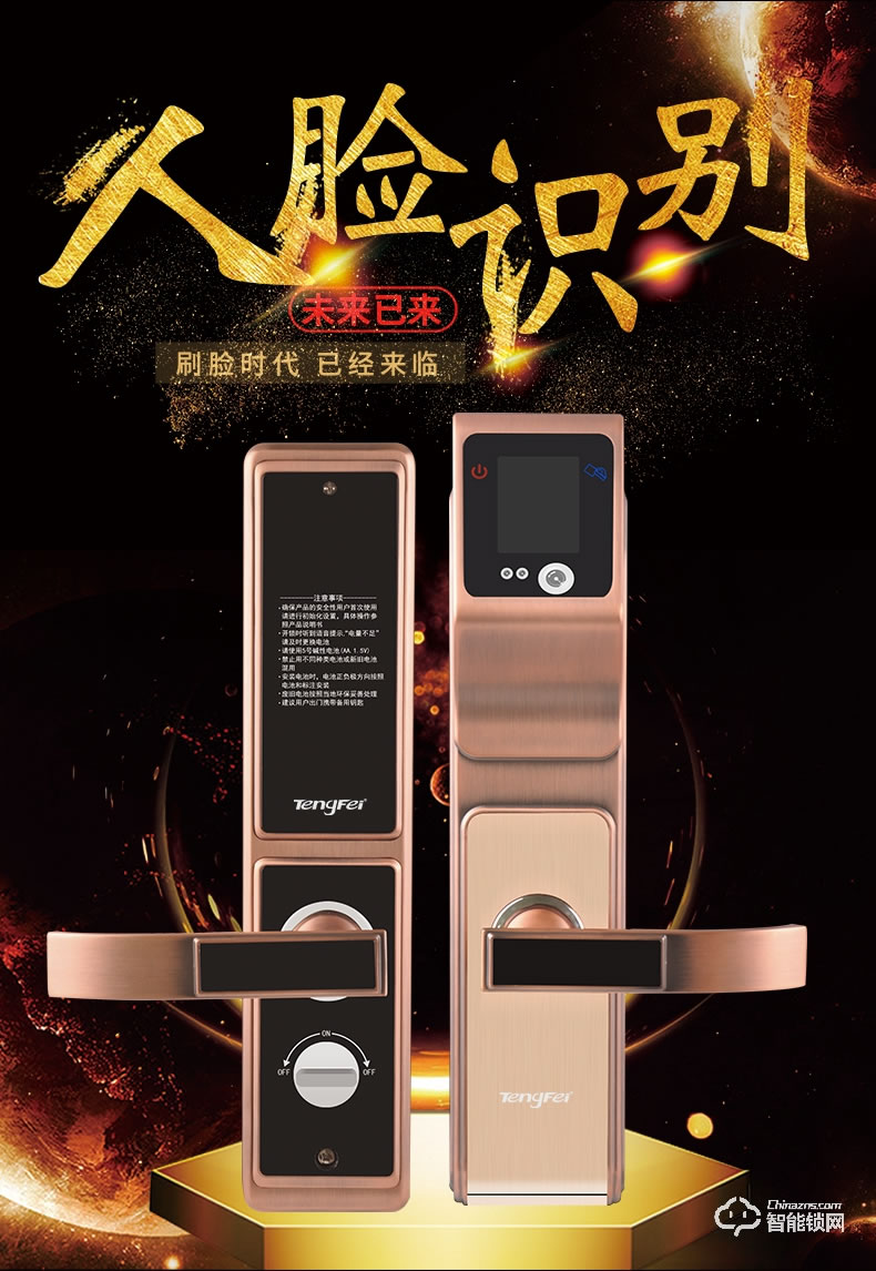 騰飛指紋鎖 人臉識別鎖防盜門密碼智能門鎖