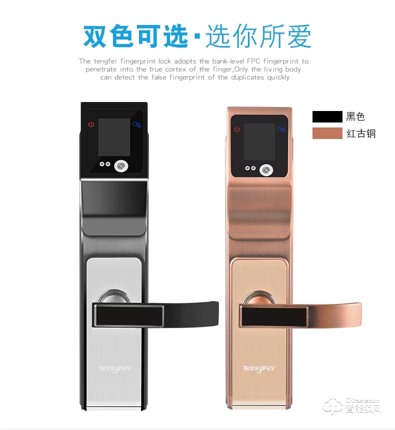 騰飛指紋鎖 人臉識別鎖防盜門密碼智能門鎖