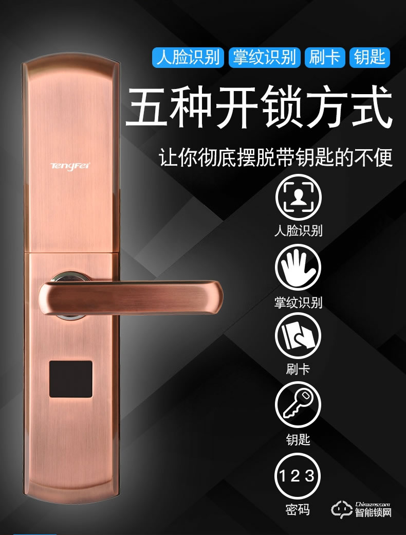 騰飛指紋鎖 智能人臉識(shí)別家用防盜門密碼鎖