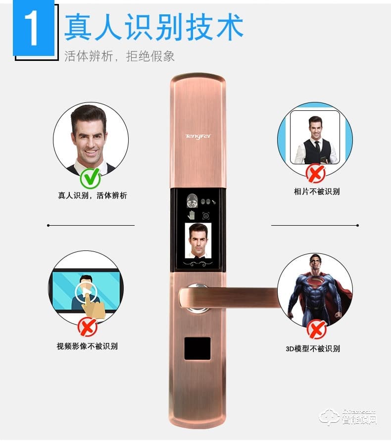 騰飛指紋鎖 智能人臉識(shí)別家用防盜門密碼鎖