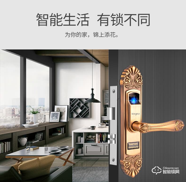 騰飛指紋鎖 家用房門鎖室內木門鎖