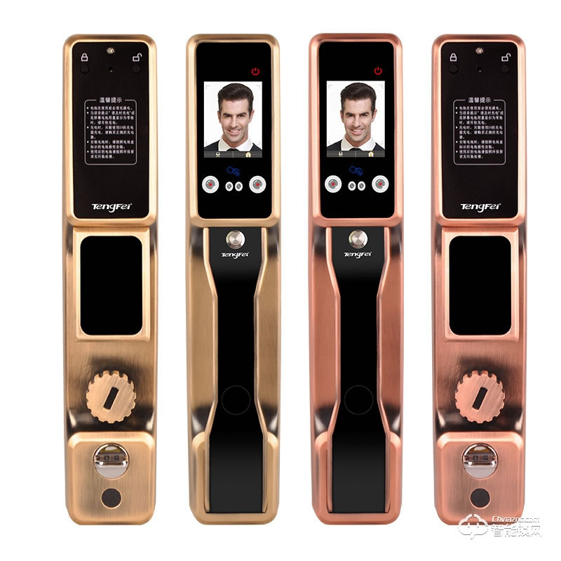 騰飛指紋鎖 全自動人臉識別鎖家用防盜門鎖