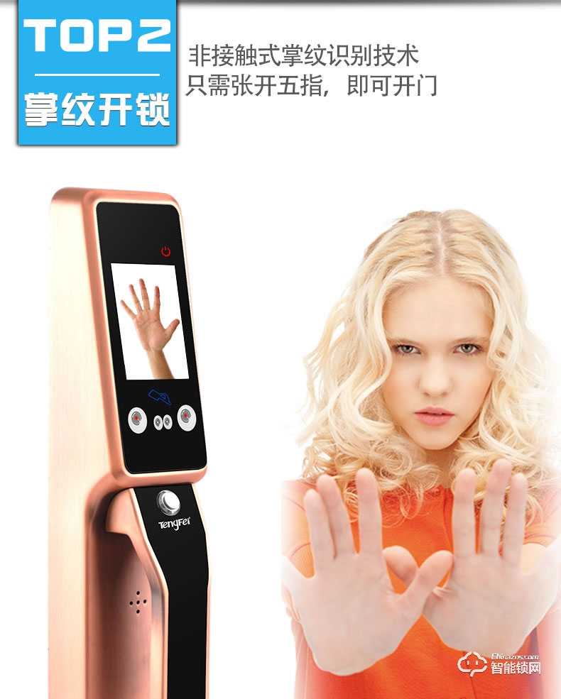 騰飛指紋鎖 全自動人臉識別鎖家用防盜門鎖