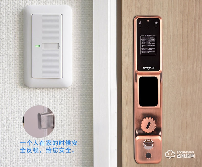 騰飛指紋鎖 全自動人臉識別鎖家用防盜門鎖