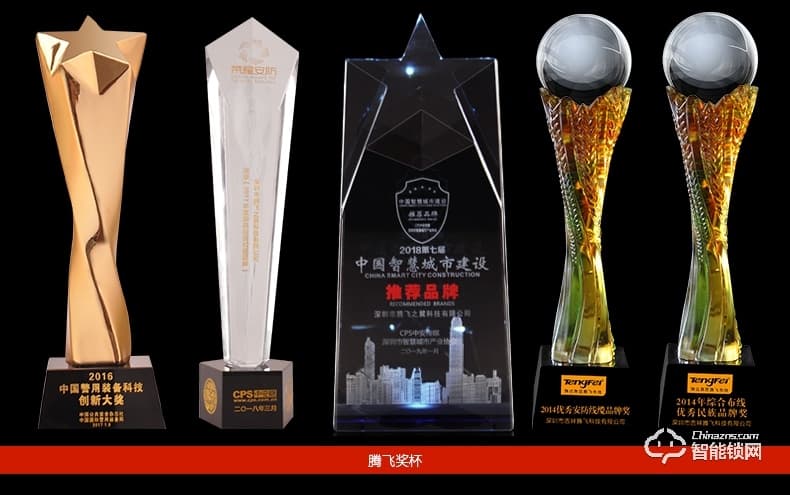 騰飛指紋鎖 人臉識別鎖家用推拉式智能密碼鎖