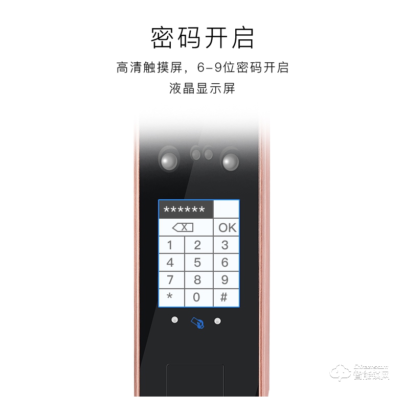 愛獅盾智能鎖 ASD-F3智新款人臉識別密碼鎖