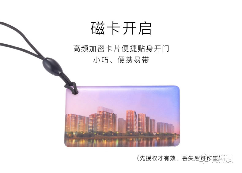 愛獅盾智能鎖 ASD-F3智新款人臉識別密碼鎖