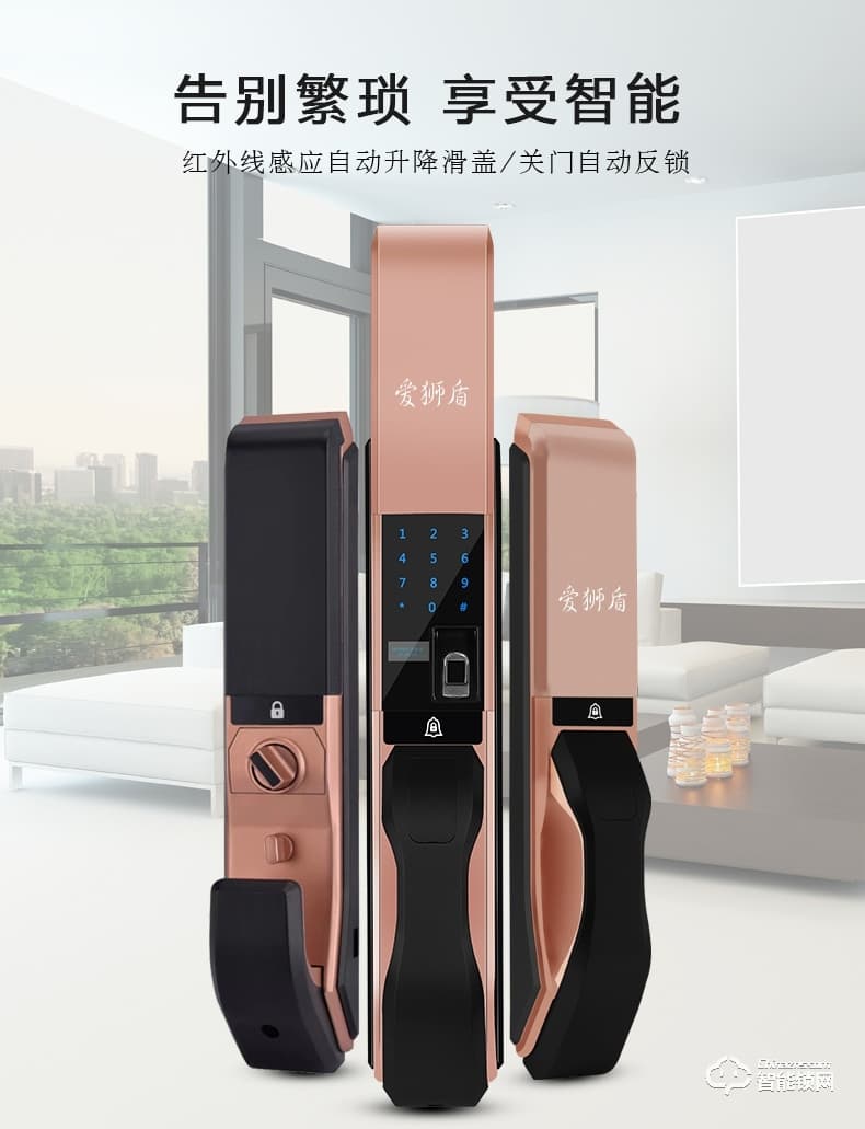 愛獅盾智能鎖 ASD-F1家用防盜門玻璃門密碼鎖