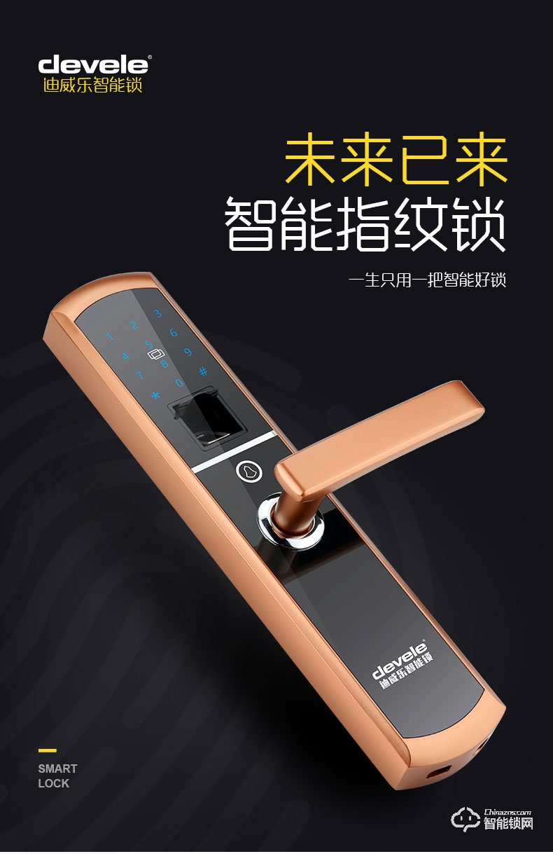 迪威樂(lè)智能鎖 D2家用防盜門鎖通用型電子鎖