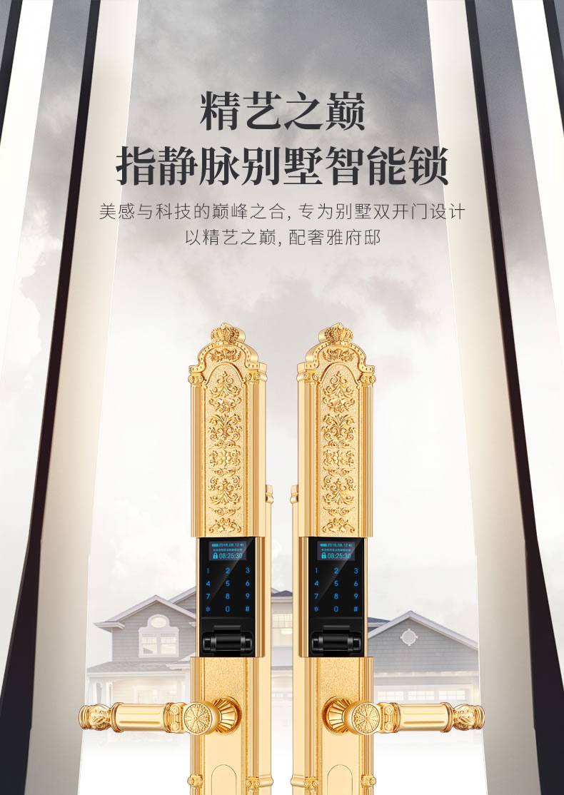 黑龍智能鎖 8848指靜脈豪華別墅智能密碼鎖電子門鎖
